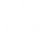 Ruptura