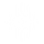 Toque Luminoso