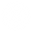 Projétil Primordial